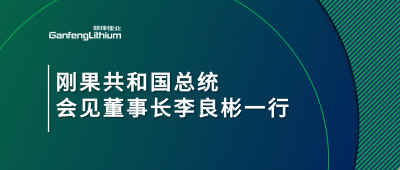 刚果共和国总统会见赣锋锂业董事长李良彬一行